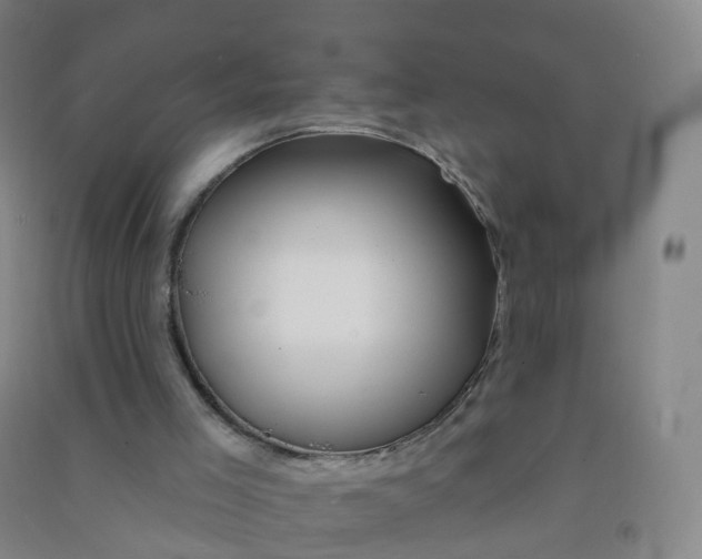 X0000090930005200708201839