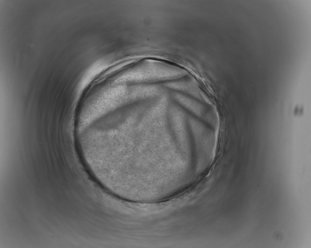 X0000090930006200708201839