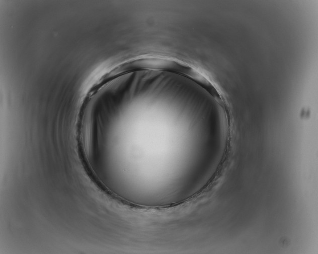 X0000090930007200708201839