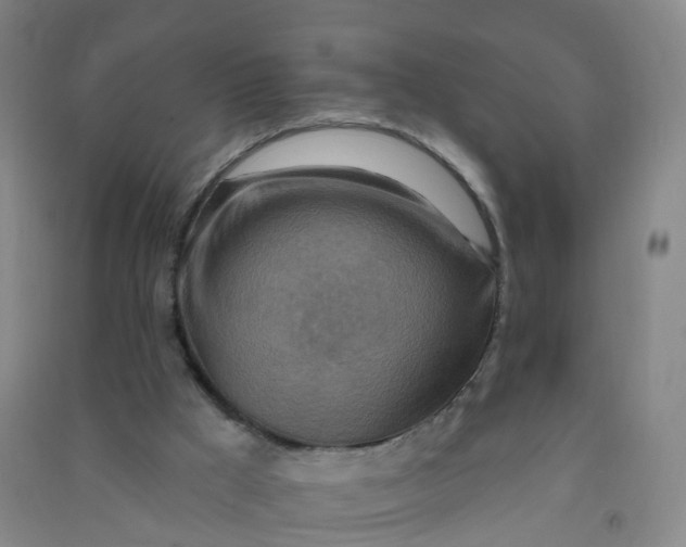 X0000090930009200708201839