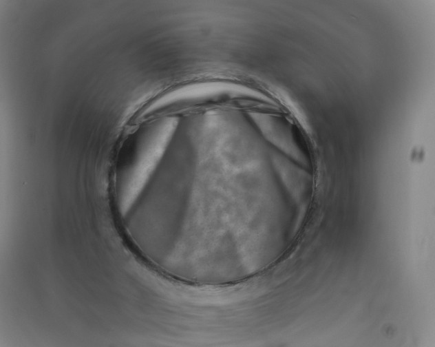 X0000090930010200708201839