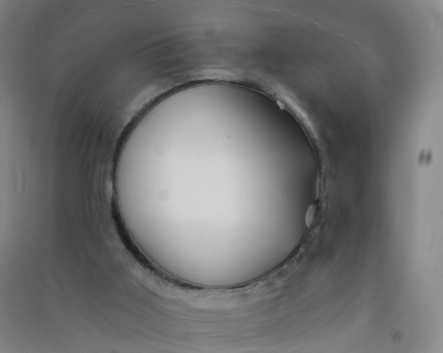 X0000090930011200708201839