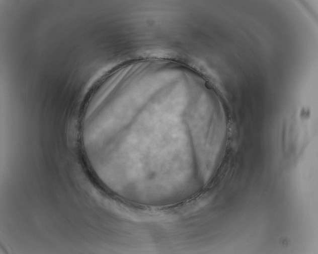 X0000090930012200708201839