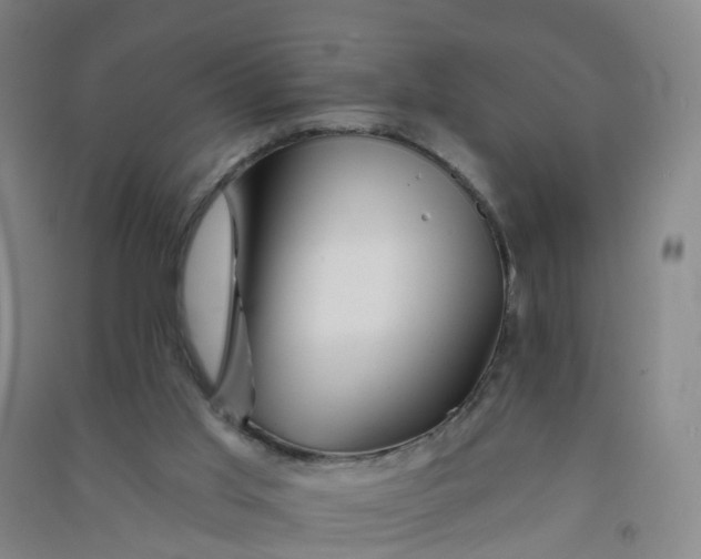 X0000090930013200708201839