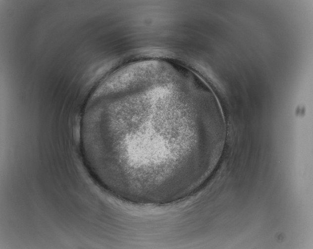 X0000090930014200708201839