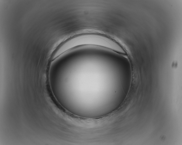 X0000090930015200708201839