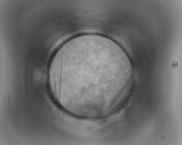 X0000090930016200708201839