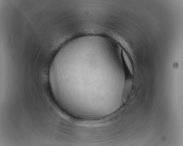 X0000090930017200708201839