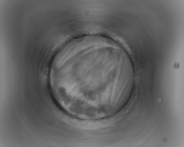 X0000090930018200708201839