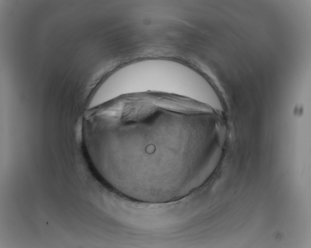 X0000090930019200708201839