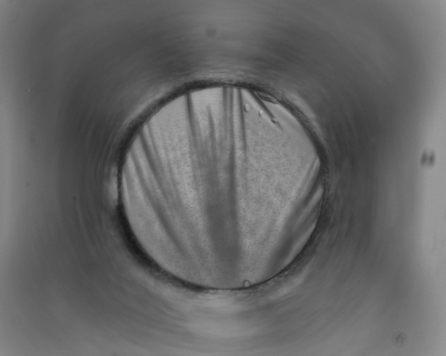 X0000090930020200708201839