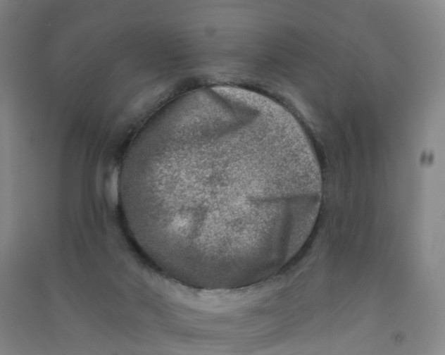 X0000090930022200708201839