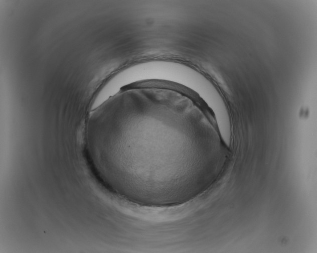 X0000090930023200708201839