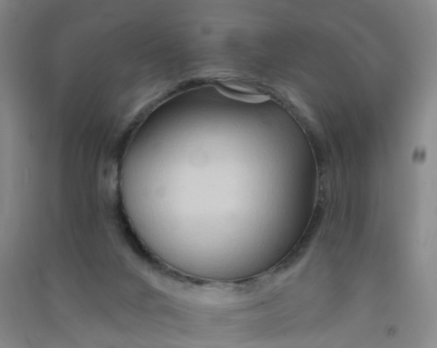 X0000090930024200708201839