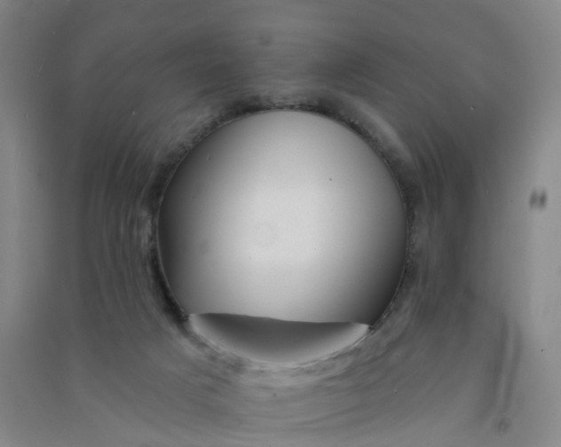 X0000090930025200708201839