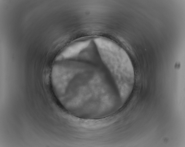 X0000090930026200708201839