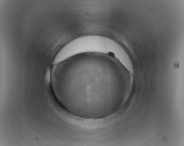 X0000090930027200708201839