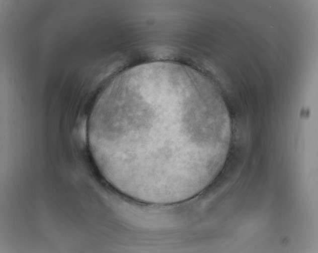 X0000090930028200708201839