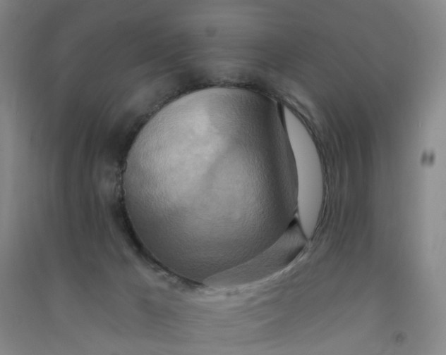 X0000090930029200708201839