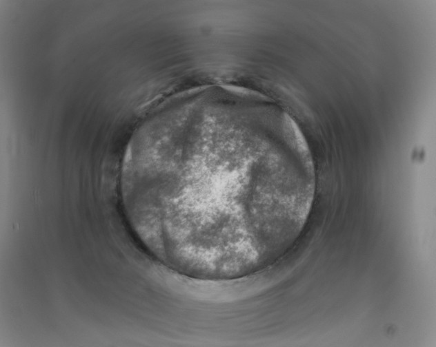 X0000090930030200708201839