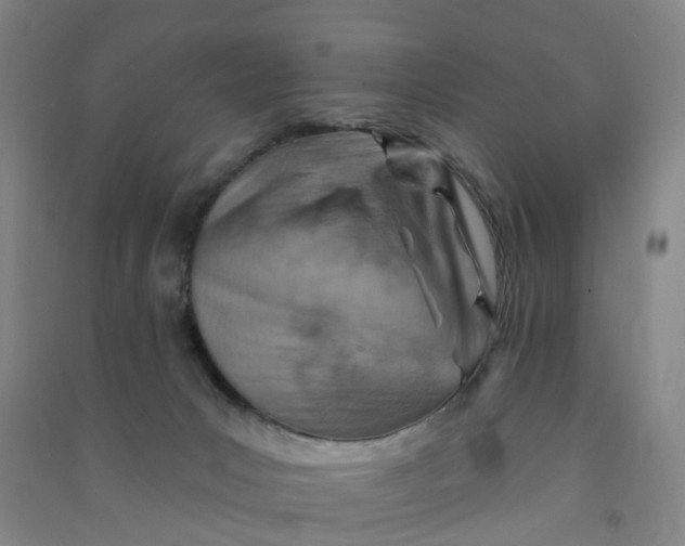 X0000090930031200708201839