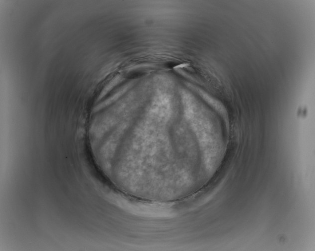 X0000090930032200708201839