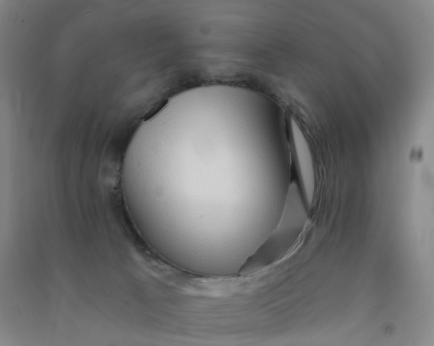 X0000090930033200708201839