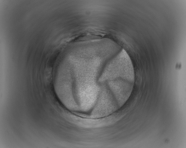 X0000090930034200708201839