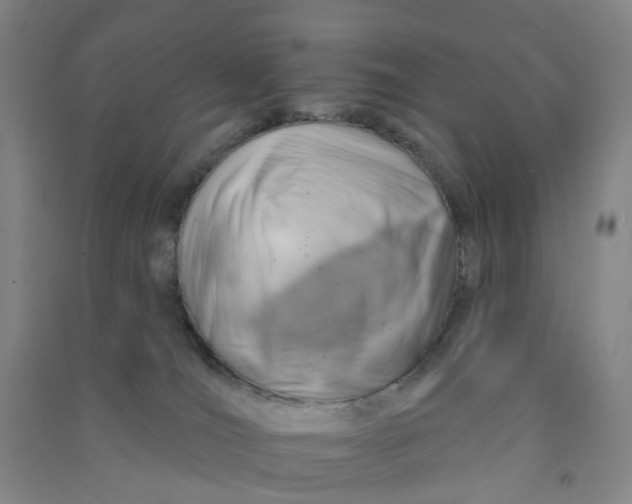 X0000090930036200708201839