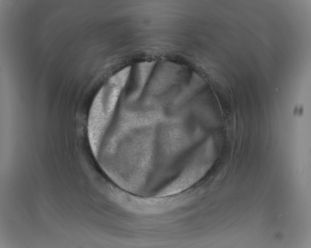 X0000090930038200708201839