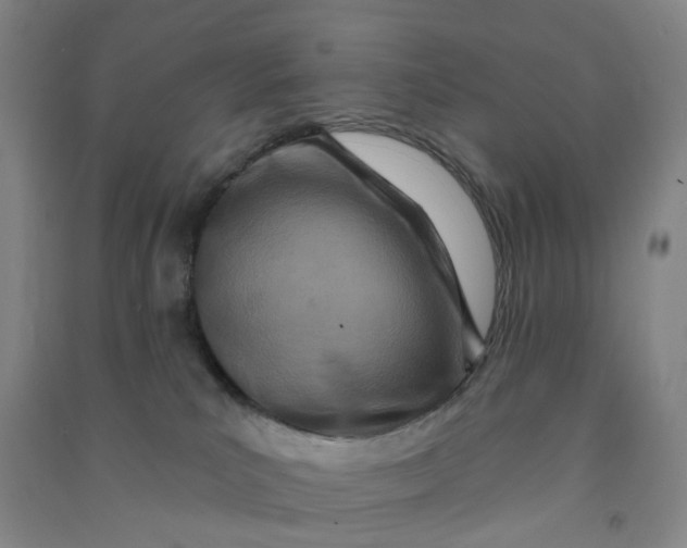 X0000090930039200708201839