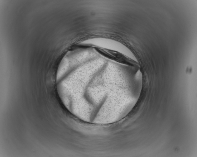 X0000090930040200708201839