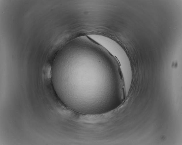 X0000090930041200708201839