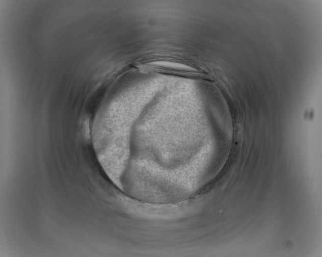 X0000090930042200708201839