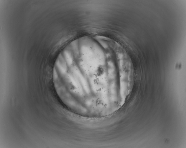 X0000090930043200708201839