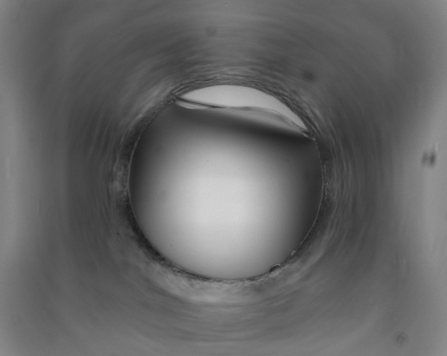 X0000090930044200708201839