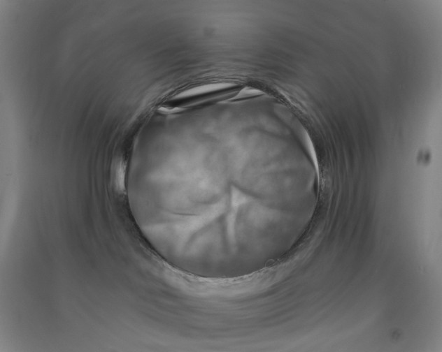 X0000090930046200708201839