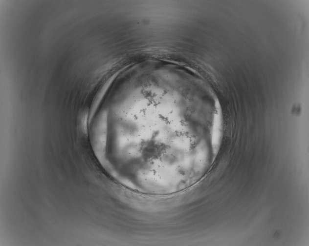 X0000090930047200708201839