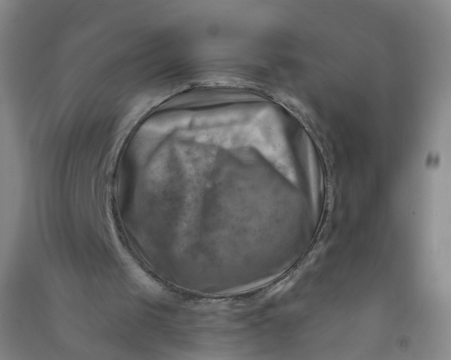 X0000090930049200708201838