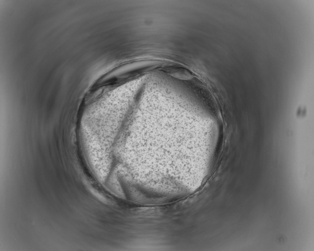 X0000090930050200708201838