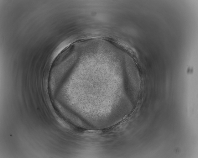 X0000090930051200708201838