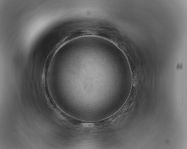 X0000090930052200708201838