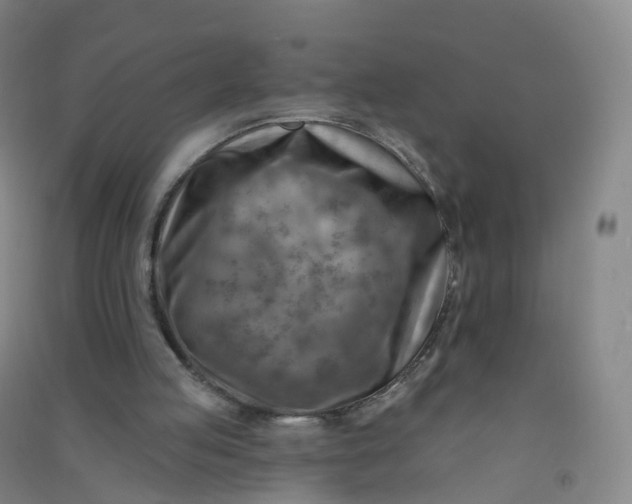 X0000090930053200708201838