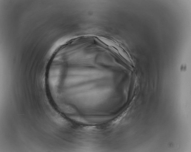 X0000090930054200708201838