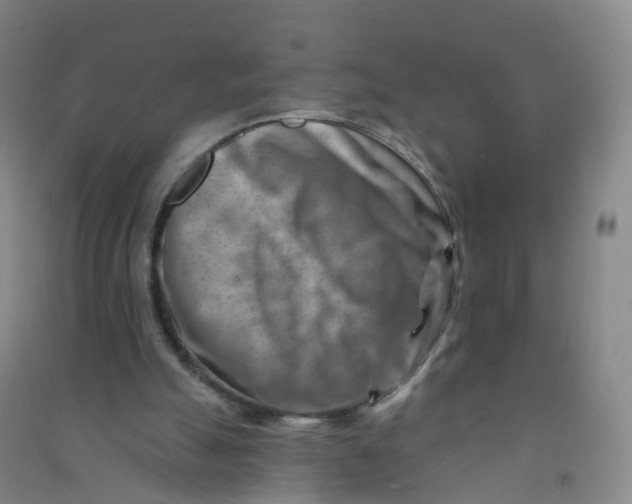 X0000090930055200708201838