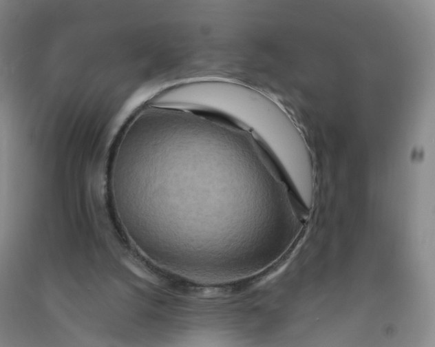 X0000090930056200708201838