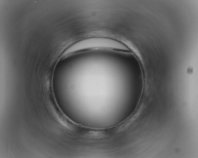 X0000090930057200708201838