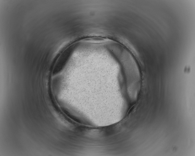 X0000090930058200708201838