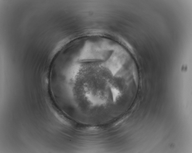 X0000090930059200708201838