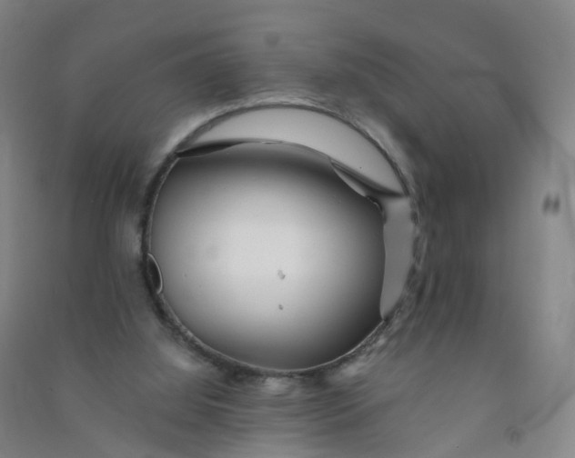 X0000090930060200708201838